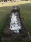 image of grave number 499570